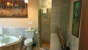 Апартаменты Lokahi Lodge Волкано США