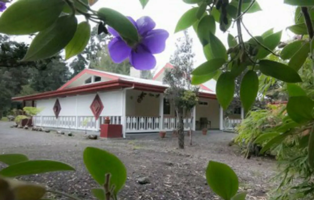 וולקנו Lokahi Lodge דירה